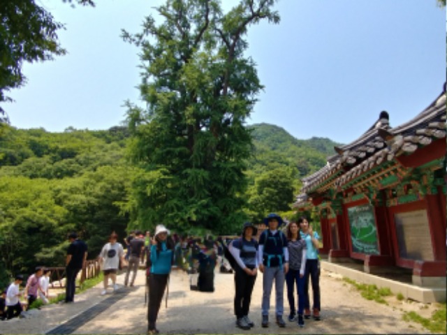 용문산1.jpg